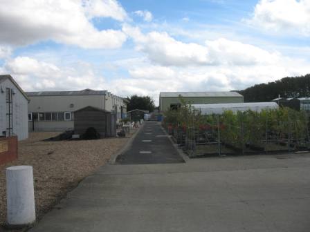 The extensive greenhouses at East Malling